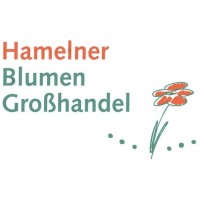 Hamelner Blumengroßhandel GmbH logo - Similar company to Juwelier Baldev