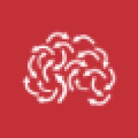 Brain & Storm Inc. logo - Similar company to Duo Network
