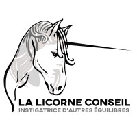 LA LICORNE CONSEIL logo - Similar company to Mute-Radio