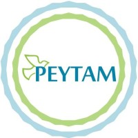 PEYTAM logo - Similar company to Iccs (Amizeh Co.)