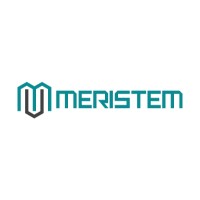 MERISTEM logo - Similar company to W. Giertsen Services As