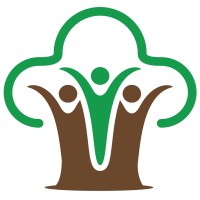 Banyan Nation logo - Similar company to Anthill Creations