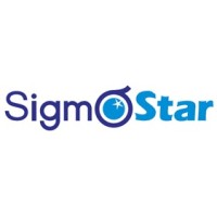 星宸科技股份有限公司 logo - Similar company to Innofusion Semiconductor