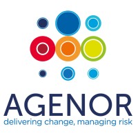 Agenor Technology logo - Similar company to Iceflo Limited