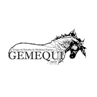GEMEQUI logo - Similar company to Gemek Sas