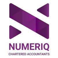Numeriq Chartered Accountants (SA) logo - Similar company to Ditsibi Consulting