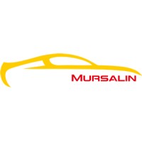 Fujisawa Mursalin Motors FZCO logo - Similar company to Palmar Automobiles Sa