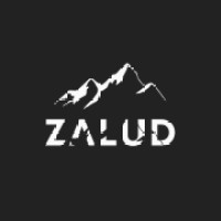 Zalud Integral logo - Similar company to Espíritu Corsa