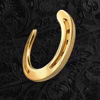 Horseshoe Indianapolis Racing & Casino logo - Similar company to Fotrum