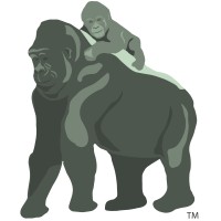 Knocked-up Money logo - Similar company to Digifora