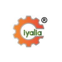 Iyalia Engineering Solutions India Pvt Ltd logo - Similar company to Make3D