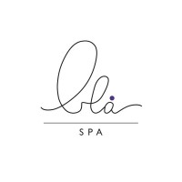 BLÅ SPA logo - Similar company to Hermann Research