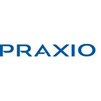PRAXIO IT CONSULTING PRIVATE LIMITED logo - Similar company to Avitam Technologies