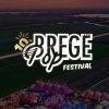Bregepop Festival logo - Similar company to Cobrawifi
