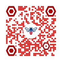 Save The Bees USA logo - Similar company to Save The Bee