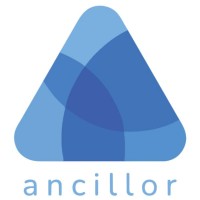 Ancillor logo - Similar company to Bharat Grid