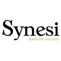 Synesi Consulting Limited