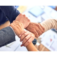 Saxon & Liu Global Partners logo - Similar company to Saxon-Global