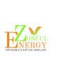 Zonful Energy logo - Similar company to Leo Impact Fund