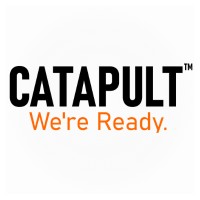 Catapult Solutions Inc logo - Similar company to Werewolf Systems