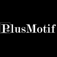 Plus Motif logo - Similar company to Mckoy Projects