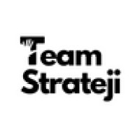 Team Strateji logo - Similar company to Brownie Bee