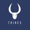The Tribes Alliance logo - Similar company to Skillsvr