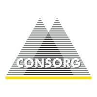 CONSORG logo - Similar company to Houston Npa