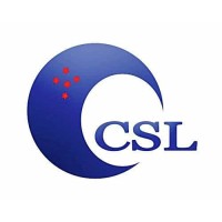 Computer Services Limited