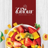 Zohour For Exporting Agricultural Crops logo - Similar company to Sahara Agro Company