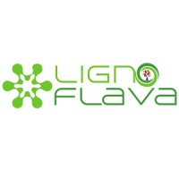 Ligno Flava logo - Similar company to Sanki Mayor