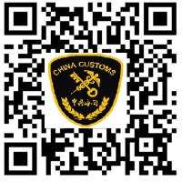 China customs clearance logo - Similar company to China Customs