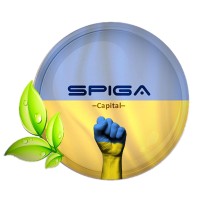 Grupo Spiga Capital