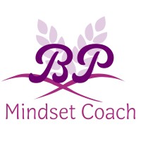 Mindset & Money Coach logo - Similar company to The Mindset Development Group