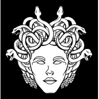 Medusas logo - Similar company to Arva