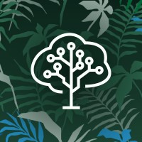 Brainforest logo - Similar company to Polliknow