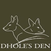 Dhole's Den logo - Similar company to Code Sprout