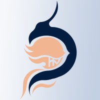 Vyolve Paisa logo - Similar company to Dot Legal