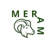 Meram Industries FZE logo - Similar company to Raith Nigeria Limited