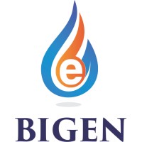 BIGEN PETROLEUM LTD logo - Similar company to Mai Global