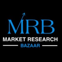 Market Research Bazaar logo - Similar company to Technobug It Solutions Pvt Ltd