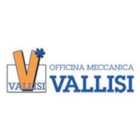 Vallisi s.r.l. logo - Similar company to B&Q Srl