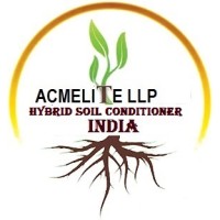 ACMELITE LLP logo - Similar company to Edprosys India