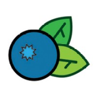 BlueberryCMS logo - Similar company to 92 Logics