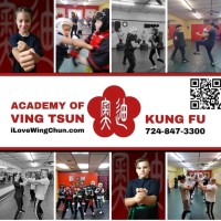 Academy of Ving Tsun Kung Fu logo - Similar company to Moy Yat Ving Tsun Martial Intelligence Europe