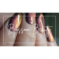 Blossom Beauty and nails logo - Similar company to Welly