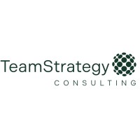TeamStrategy Consulting logo - Similar company to Techgrowth Insights