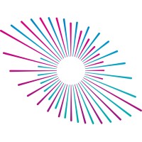 ToraGuard logo - Similar company to Skye Cloud Ltd