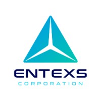 ENTEXS Corporation logo - Similar company to Sd Smart Engineer Inc.