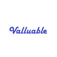 Valluable.com logo - Similar company to Ascendedge Consultancy Private Limited